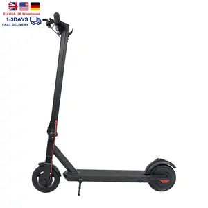 L8 + 欧盟美国批发商两轮电动踏板车两轮最大便携式可折叠电动踢踏车，带成人信号灯