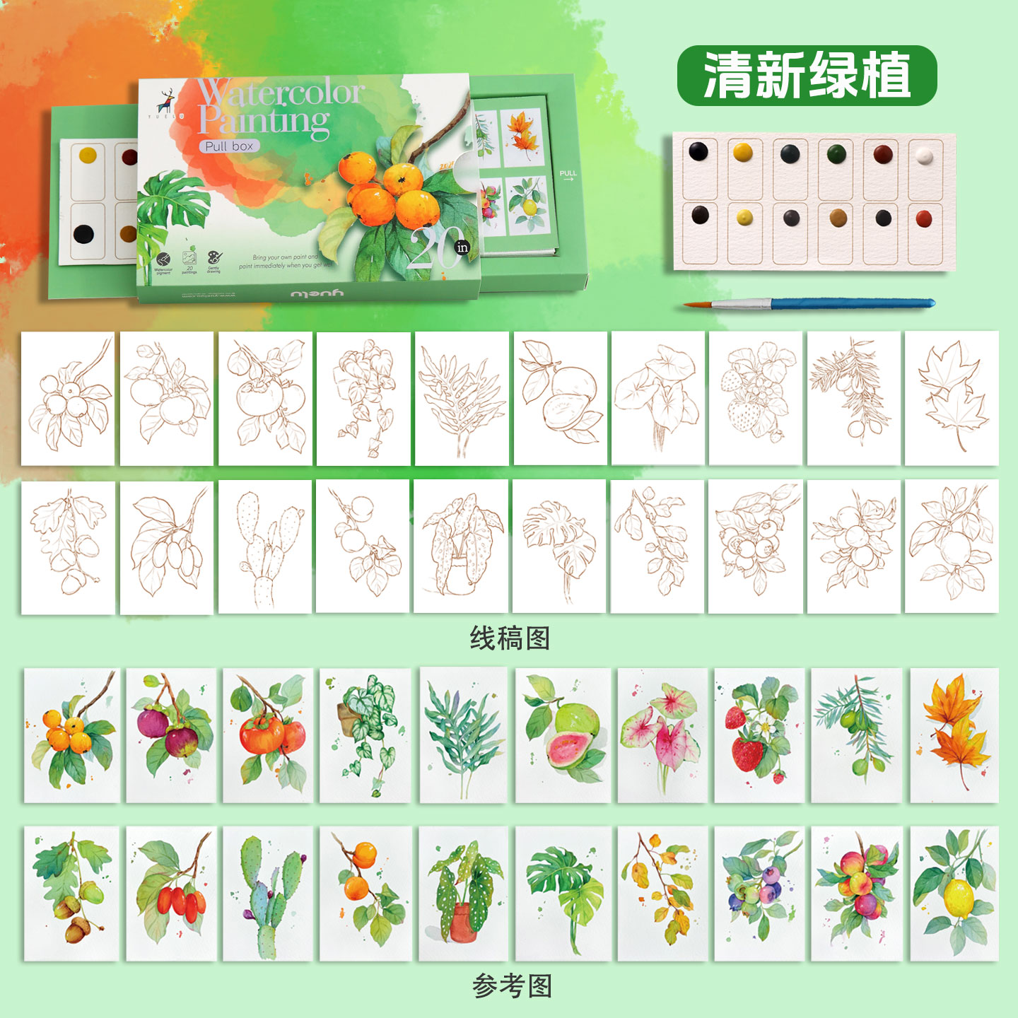 Serie di piante verdi