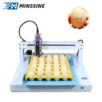 Nouvelle machine de codage d'œufs à jet d'encre entièrement automatique avec une vitesse d'impression de 40 ppm et une résolution de 600 dpi pour l'impression de la date sur les œufs de volaille