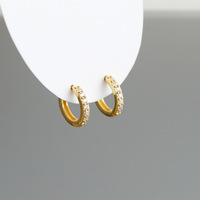 Harga grosir S925 perak murni lingkaran bulat mikro masukkan zirkon berlapis emas anting-anting Hoop unik
