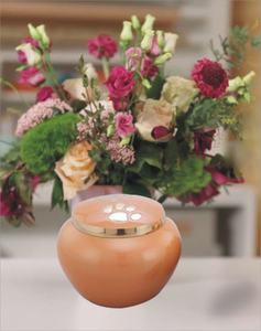 Urna conmemorativa de cremación púrpura de latón con estampado de pata de estilo americano de lujo Urna funeraria elegante para cenizas de mascotas - Product Image 4