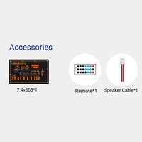 Carte Amplificateur Récepteur Radio Numérique USB 5.0 Mono-Canal avec Enregistrement TF MIC Tuner FM Musique Sans Fil AUX pour Usage Domestique