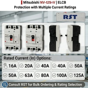 Interruptor Diferencial de Fuga a Tierra de Calidad NV-125HV 3P 125AF Elcb - Product Image 4