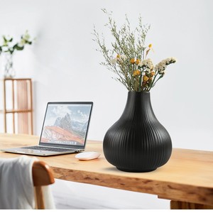 Jarrón Grande de Cerámica Blanca Bisque con Forma Sencilla y Elegante para Decoración del Hogar, Exhibición Floral Hidropónica en la Sala de Estar - Product Image 4