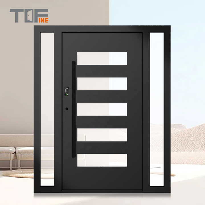 USA Modern Residential Entry Front Door With Glass Panels Black Steel ...