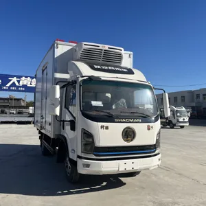 China Van Truck Euro VI Fabrik preis Kühlwagen Shacman Delong 4,2 Meter Kälte emission