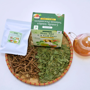 Centella Asiatica Solanum Procumbens Herbal Tea for Holistic Health Support - NMPT Brand (40 Bags) - Product Image 1