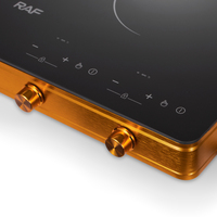 Cuisinière électrique infrarouge à grande puissance RAF R.8064, vente directe d'usine, avec 4 brûleurs pour une utilisation en cuisine