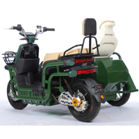 Tricycle Électrique Rétro 2 Places 72V 1000W avec Side-car, Modèle 2026, Vente Chaude, Qualité Supérieure, Moto Électrique à Trois Roues Côte à Côte