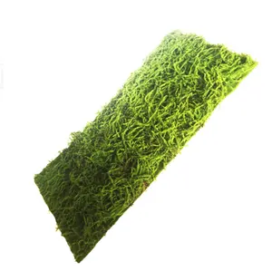 Parete di piante di erba di muschio artificiale muro Vineer cartone pacchetto di plastica foglie di plastica decorativa di plastica per la decorazione di alta qualità verde
