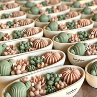 Bougies parfumées originales en forme de bateau ovale avec logo personnalisé, pour plantes succulentes, multicolores, pour la décoration intérieure et les cadeaux