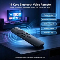 Control Remoto por Voz de 14 Teclas, Inalámbrico, para Android TV Box, Fabricación OEM ODM
