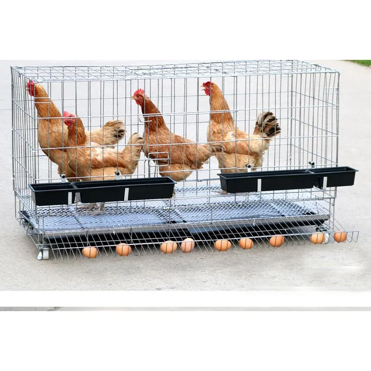 Equipamento de recolhimento de aves domésticas, equipamento automático para frangos e frangos, gaiolas de aço, grande sistema de aves, gaiolas dobráveis para casa