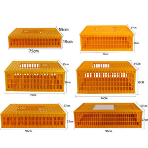 Volaille vivante Poulet <span class=keywords><strong>Canard</strong></span> Oie Pigeon Caisse <span class=keywords><strong>de</strong></span> transport Cage Caisse en plastique <span class=keywords><strong>de</strong></span> haute qualité - Product Image 5