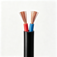 Kabel Tembaga Fleksibel Berinti 2&3 RVVB Dengan Selubung PVC, Tahan Suhu 70C, Tegangan 300/300V, Warna Putih