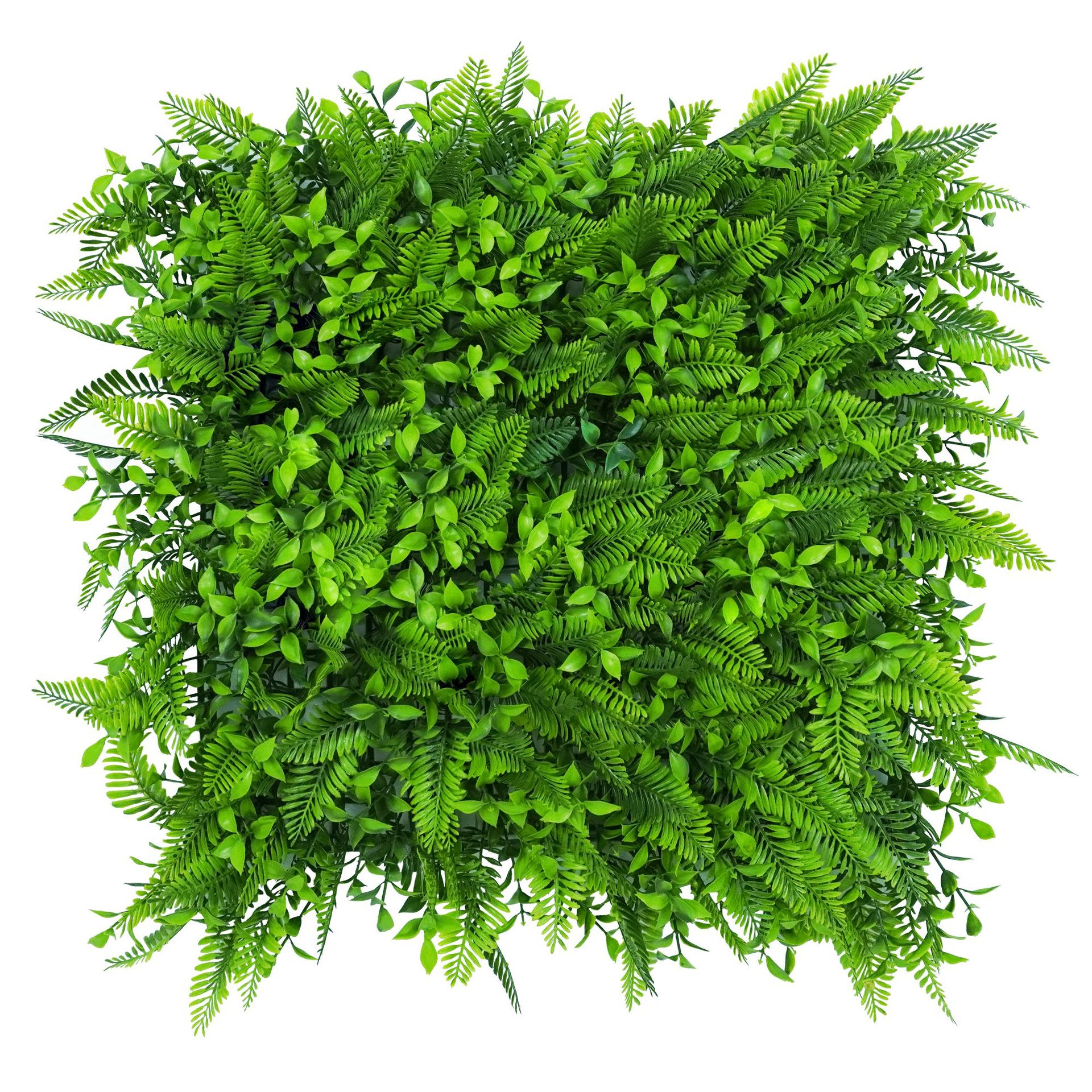 Herbe de piment