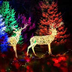 Fabricante de gran tamaño de la vida iluminada decoración Led 3D motivo de luz animales ciervos <span class=keywords><strong>Navidad</strong></span> <span class=keywords><strong>exterior</strong></span> para Centro Comercial - Product Image 4