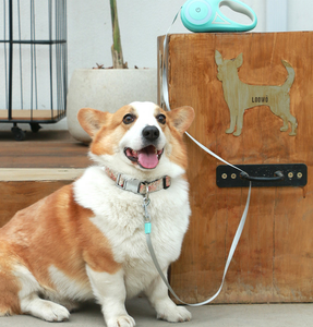 Correa retráctil para perros de nuevo estilo, sin enredos Mango antideslizante, liberación de bloqueo manual, patrón sólido, cuerda de plástico de nailon para perros - Product Image 5