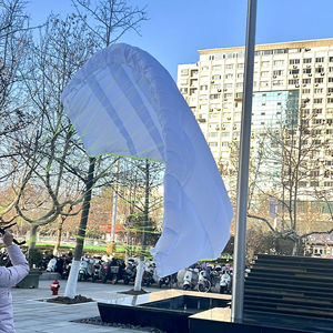 גלשן פאראוויינג דאון-ווינד עם כנף פאראוויינג לגלישה - Product Image 4