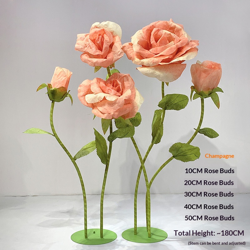 Coffret 5 roses champagne