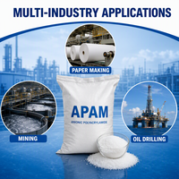 Anionic Polyacrylamide PAM untuk Bahan Kimia Flokulan di Instalasi Pengolahan Air Limbah