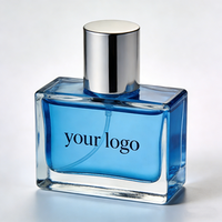 Parfum pour homme de haute qualité, marque privée, usage quotidien, vaporisateur longue durée, 100 ml, Edp, faible MOQ, parfum boisé