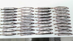 <span class=keywords><strong>Poisson</strong></span> capelin congelé - Product Image 2