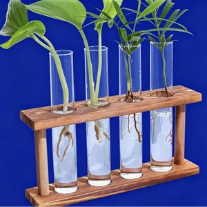 Support pour tubes à essai Tianhong, 4 trous, diamètre 25 mm, hauteur 150 mm, en verre, pour décoration intérieure, culture hydroponique, arrangement floral - Product Image 4