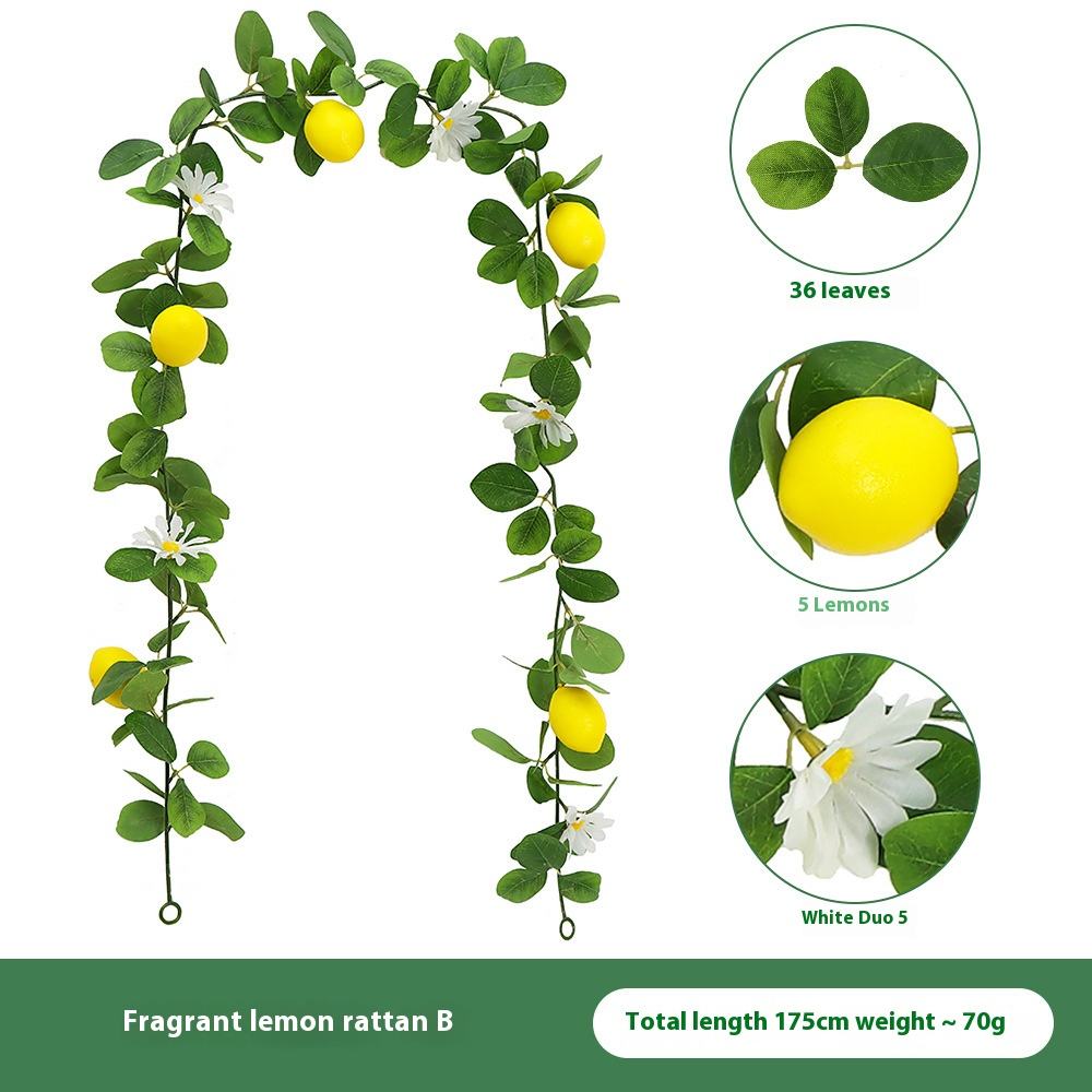 ตามที่แสดง