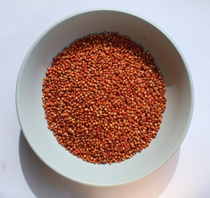 Grano de Sorgo Rojo de Calidad de Exportación para la Producción de Cerveza, Alimentación Animal y Agricultura Sostenible, Disponible en Grandes Cantidades - Product Image 1