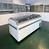 Congelador de Isla de Una Sola Temperatura y 4 Puertas, Directo de Fábrica, para Carnicería, Mariscos, Helados y Exhibición de Carne, con Control Digital