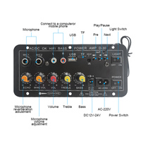 Amplificateur de puissance mono Bluetooth HIFI D30 30W avec double microphone karaoké 12V 24V 220V