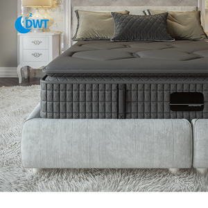 Bọt Nệm túi mùa xuân gel-bộ nhớ nệm có thể giặt chống vi khuẩn và Mite nệm - Product Image 3