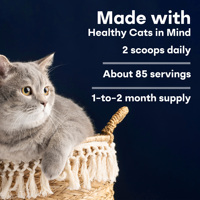 MiMascota Cat Mix Advanced, complément alimentaire pour animaux de compagnie riche en protéines, probiotiques, taurine, poudre de jaune d'œuf, soutien immunitaire, 100 g pour chiens et chats