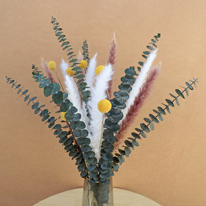 Hierba de Pampas Seca Natural, Ramo Mixto con Eucalipto y Craspedia Preservados, para Decoración Boho del Hogar, Arreglos Florales DIY - Product Image 4