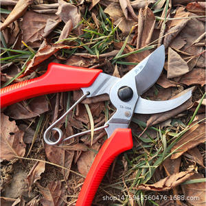 Farmers Pruning Shears 120 Stainless Steel Blade 45mm Length <b>Butterfly</b> Structure For Flowers Fruit Trees <b>Garden</b> Trimming - Product Image 4