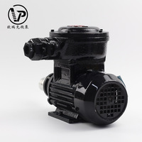 Pompe à engrenages à entraînement magnétique 380V AC, mini pompe à engrenages sans fuite pour le transfert de liquides à haute viscosité