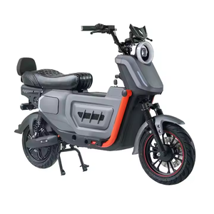 Vélo Électrique : Quel Modèle Vaut la Peine ? <span class=keywords><strong>Test</strong></span> Complet 2026 sur les Montées, la Distance, les Coûts d'Entretien et la Pratique Quotidienne - Product Image 1