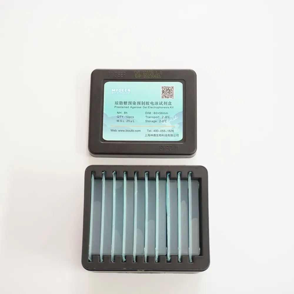 Ready To Use Biological Laboratory Product Prestained Agarose Gel DNA Electrophoresis Kit