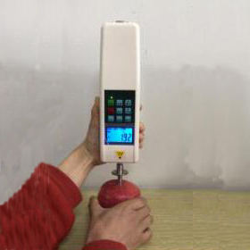 <span class=keywords><strong>Gy</strong></span> Draagbare <span class=keywords><strong>Fruit</strong></span> <span class=keywords><strong>Penetrometer</strong></span> - Product Image 4