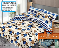 Parure de lit 4 pièces en coton style africain Jimmy avec taies d'oreiller pour l'hiver, disponible en tailles King, Queen, 3 places et 2 places, motifs variés