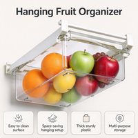 Boîte de rangement alimentaire en plastique, compatible réfrigérateur, avec design suspendu, pour le stockage des légumes, des fruits et des viandes
