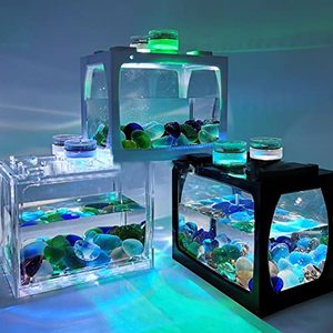 Kotak Akuarium Mini Tangki Ikan Cupang Kecil Tangki Ikan Multifungsi Isi Ulang USB Dengan Lampu LED Kotak Tangki Makan Reptil - Product Image 3