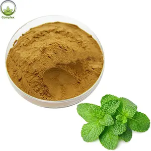 Factory Supply peppermint extract menthol powder/peppermint extract