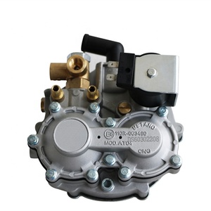 Regolatore di Pressione del Gas Combustibile/<span class=keywords><strong>Riduttore</strong></span> CNG/LPG - Product Image 1