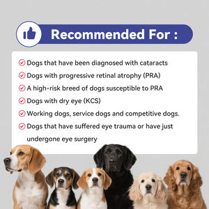 OEM Oscar Pet Vision à mâcher avec <span class=keywords><strong>huile</strong></span> <span class=keywords><strong>de</strong></span> <span class=keywords><strong>foie</strong></span> <span class=keywords><strong>de</strong></span> <span class=keywords><strong>morue</strong></span> Oeil sain Santé rétinienne Vision à mâcher <span class=keywords><strong>pour</strong></span> chiens <span class=keywords><strong>de</strong></span> tout âge - Product Image 6