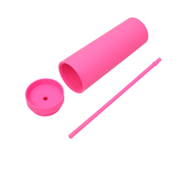 Vente en gros Tasse à eau portable 16oz double couche en plastique coloré Tasse droite avec paille et couvercle