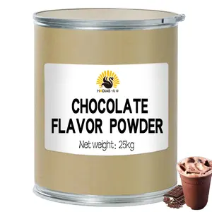 Factory wholesale can make beverage and ice cream powder chocolate flavor