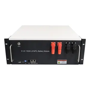 Rack montierter neuer Energiespeicher-Lithium-Akku 51,2 V 100Ah 5kW 10kW Lifepo4-Batteriezellen-Sonnensystem