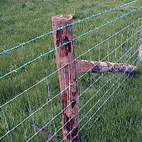 Gegalvaniseerd Boerderij Hek/Vee Gaas/Veld Fencing - Product Image 6